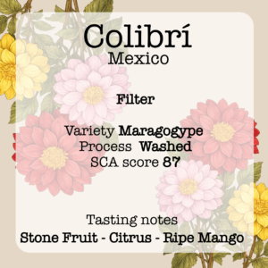 label colibri webshop